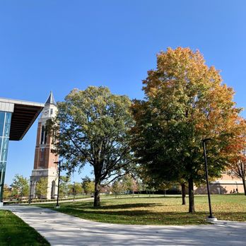 Oakland University - Homecoming weekend at OU. - Colleges & Universities Near Me - Rochester, Michigan