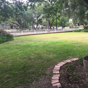 Portillo Garden Services - Frontyard - Tree Services Near Me Portillo Garden Services - Frontyard - Tree Services Near Me