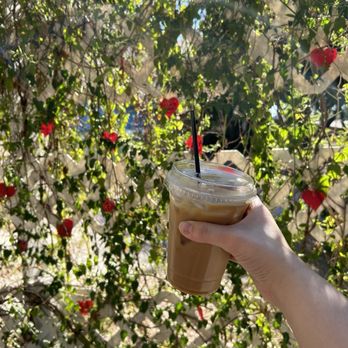 Felicitous - Coffee & Tea Near Me - Tampa, Florida Felicitous - Coffee & Tea Near Me - Tampa, Florida