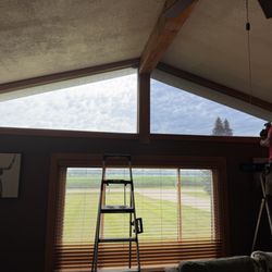 Signs & Window Tinting
