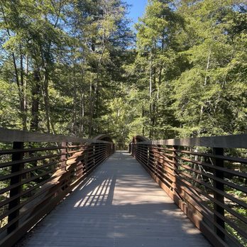 Pfeiffer Big Sur State Park - Bridge to the campground - Parks Near Me Pfeiffer Big Sur State Park - Bridge to the campground - Parks Near Me