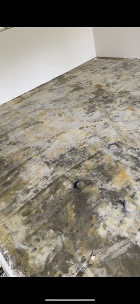 Slide of Albertos flooring and roof