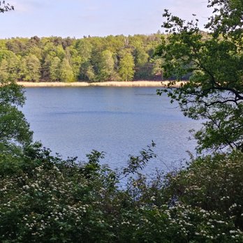 Pfaueninsel - A view from the island to the mainland - Local Flavor Near Me
