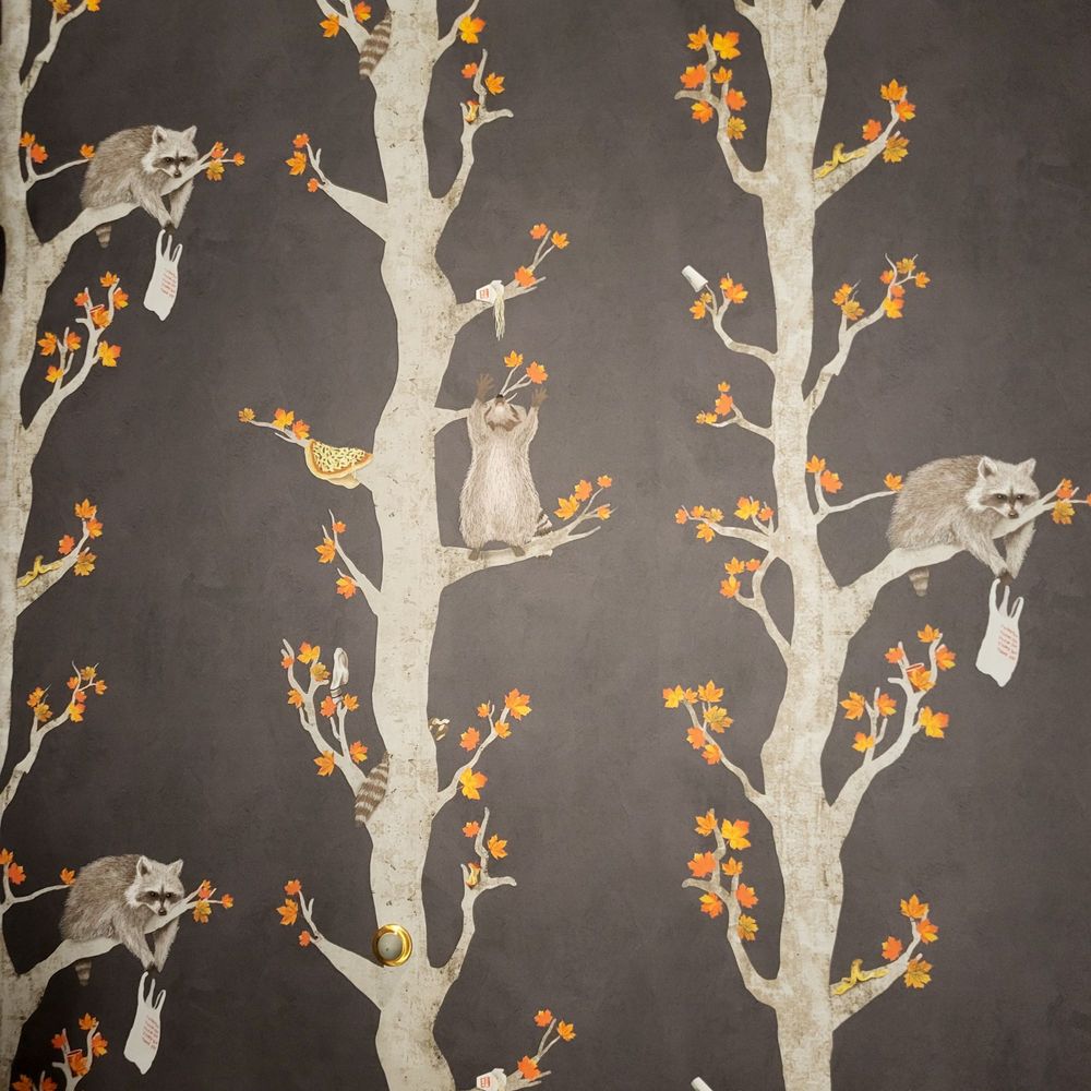 Pandan - Cute racoon wallpaper in the ladies room - Cocktail Bars Near Me - Chicago, Illinois