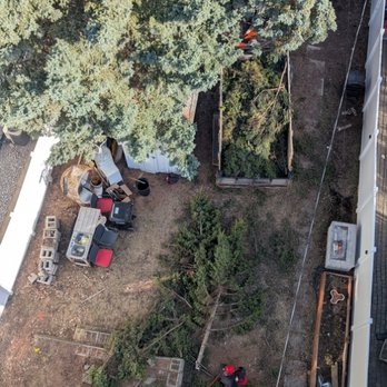 Boreal Tree Service - Tree Services Near Me