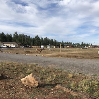 Grand Canyon Camper Village - Campgrounds Near Me - Tusayan, Arizona Grand Canyon Camper Village - Campgrounds Near Me - Tusayan, Arizona