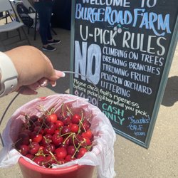 Burge Road Farm - First time ever and we loved the experience!