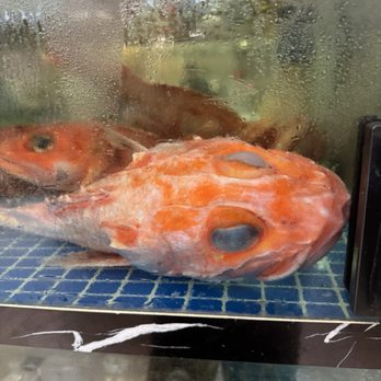 Mekong Palace - Dim Sum Near Me - Mesa, Arizona