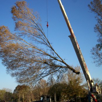 Pasco Custom Sawmill - Tree Services Near Me - Hudson, Florida Pasco Custom Sawmill - Tree Services Near Me - Hudson, Florida