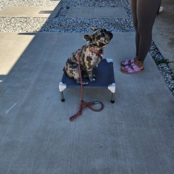San Diego K9 Company - Pet Training Near Me - Temecula, California San Diego K9 Company - Pet Training Near Me - Temecula, California