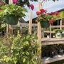 Photo of Deaton's Nursery & Greenhse