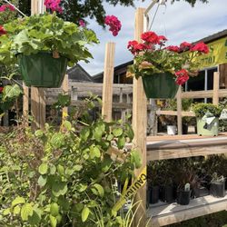 Deaton's Nursery & Greenhse