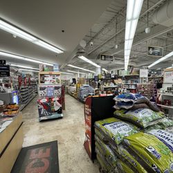 Ace Hardware