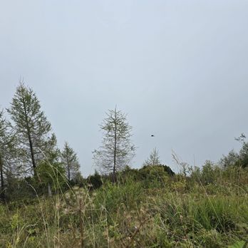 Das Kehlsteinhaus - Cloud, oh boy - Landmarks & Historical Buildings Near Me