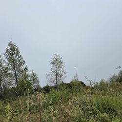 Das Kehlsteinhaus - Cloud, oh boy