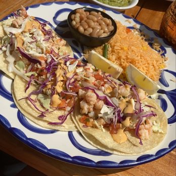 Cielo Cocina Mexicana - Shrimp tacos - Mexican Near Me - Bellevue, Washington Cielo Cocina Mexicana - Shrimp tacos - Mexican Near Me - Bellevue, Washington