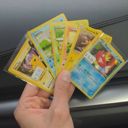 The End Games - Some cards we found at very reasonable prices! Toys r Us Magikarp and red cheeks Pikachu were The most exciting ones.
