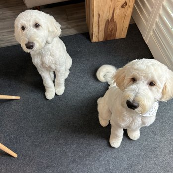 MELK Dog Grooming - Pet Groomers Near Me - Sacramento, California MELK Dog Grooming - Pet Groomers Near Me - Sacramento, California