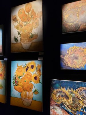 Van Gogh: The Immersive Experience by null