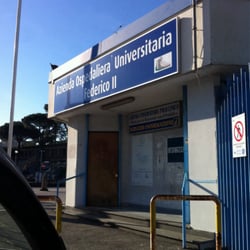 Azienda Ospedaliera Universitaria Federico II