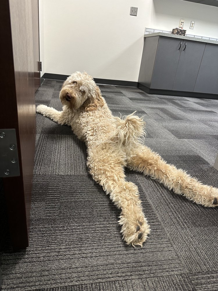 Noble Intent - grief counselor in Boise, ID