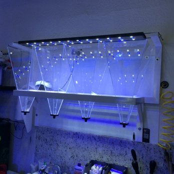 Ocean View Aquariums - Live Plankton display being built... - Aquarium Services Near Me - Miami, Florida