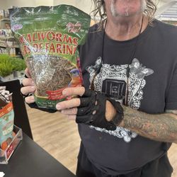 Pet Supermarket - Food for the birds