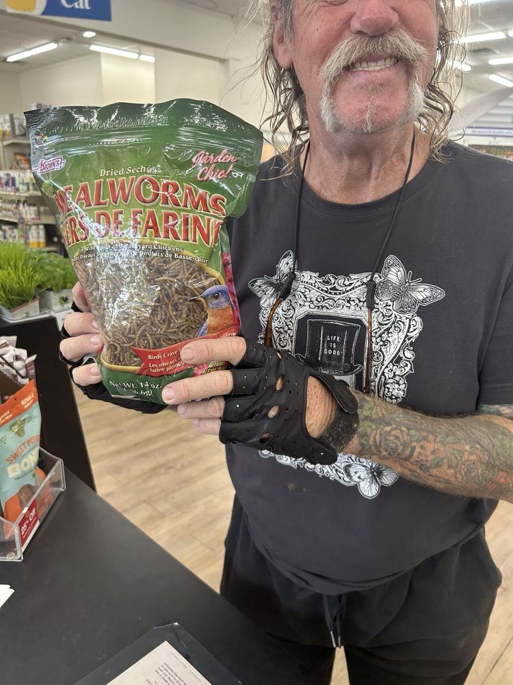 Pet Supermarket Image