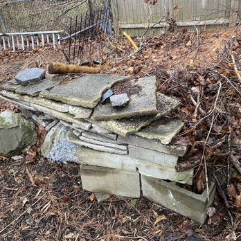 Roman Tree Services - Before! - Tree Services Near Me