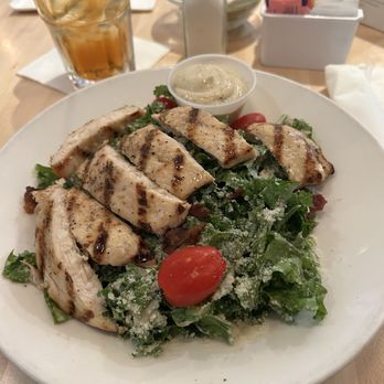 Islander Bar and Grill - Kale Caesar with chicken - Bars Near Me - Miami, Florida Islander Bar and Grill - Kale Caesar with chicken - Bars Near Me - Miami, Florida