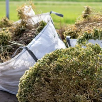 Promised Land Junk Removal - Junk Removal & Hauling Near Me - Spring Hill, Florida