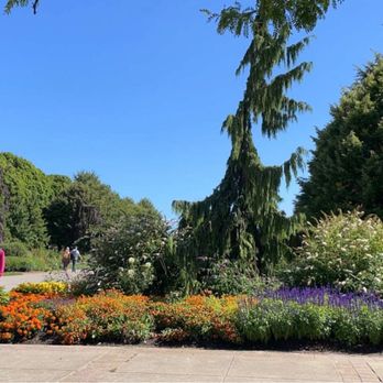 Toronto Island - So many flowers here too! | IG: @nomwithelaine - Parks Near Me - Toronto, Ontario Toronto Island - So many flowers here too! | IG: @nomwithelaine - Parks Near Me - Toronto, Ontario