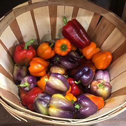VegOut! Farms - Veggies for sale in their general store