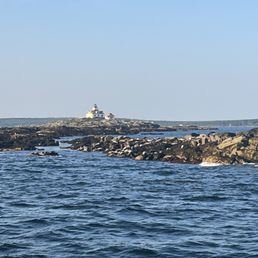 Seals and Egg Lighthouse Seals and Egg Lighthouse
