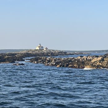Acadian Boat Tours - Seals and Egg Lighthouse - Fishing Near Me - Bar Harbor, Maine Acadian Boat Tours - Seals and Egg Lighthouse - Fishing Near Me - Bar Harbor, Maine
