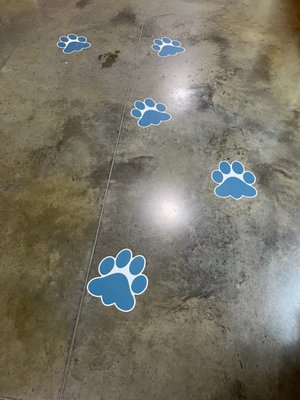 Now Boarding by null