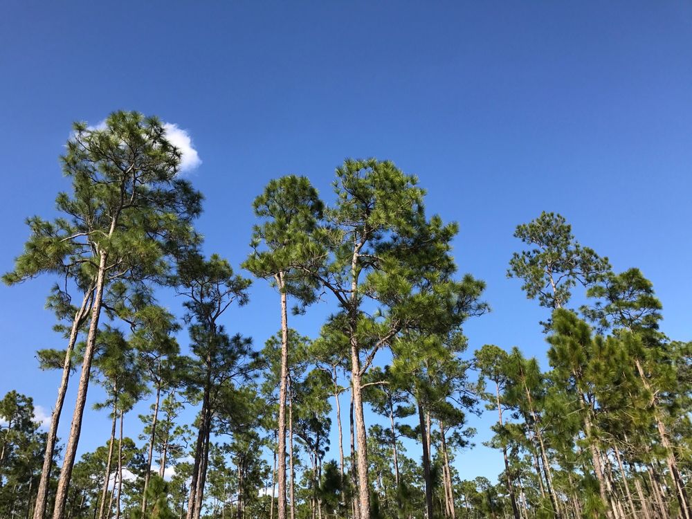 Florida National Parks Association Logo