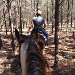 Clovis Point Stables - Trail Rides Daily