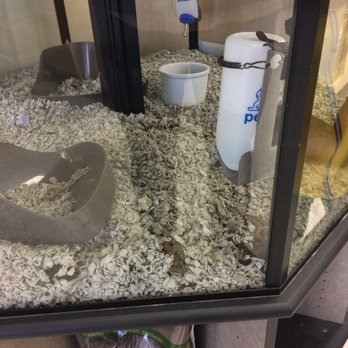 Petco - Pet Training Near Me - Birmingham, Alabama