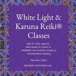 Dr. Chris Lipat | Mind-Body Energy Medicine - Dr. Lipat teaches Reiki classes in Honolulu.