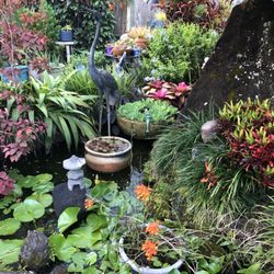 Secret Garden Room - Secret Garden Rooms second pond
