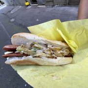 Photo of Dog In The Park - Seattle, WA, United States. Seattle Dog