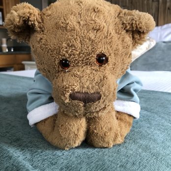 Moonstone Cottages - Little Bear contemplating what to do next.... - Hotels Near Me - Cambria, California