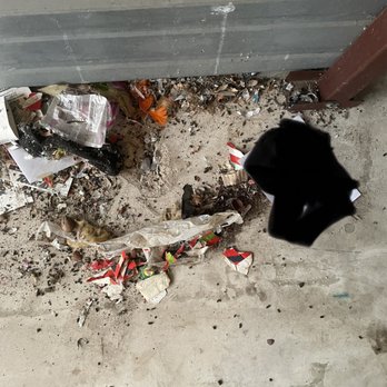 Public Storage - Rat poop - Self Storage Near Me - San Antonio, Texas Public Storage - Rat poop - Self Storage Near Me - San Antonio, Texas