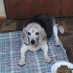 Our handsome boy with supper tonight. Our handsome boy with supper tonight.