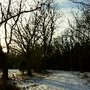Photo of Greenway Meadows  Park