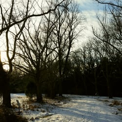 Greenway Meadows Park - A freezing early morning scene, complete with a hard to spot shadowy fox on the trail in the background.