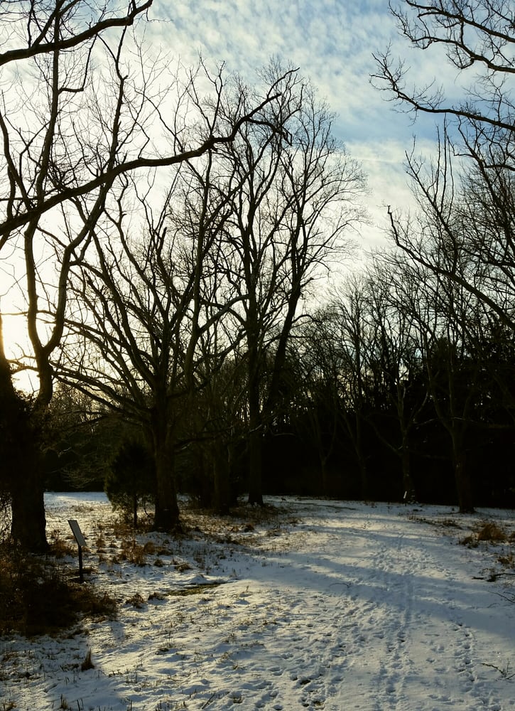 GREENWAY MEADOWS PARK Updated May 2024 15 Photos 275 Rosedale Rd, Princeton, New Jersey