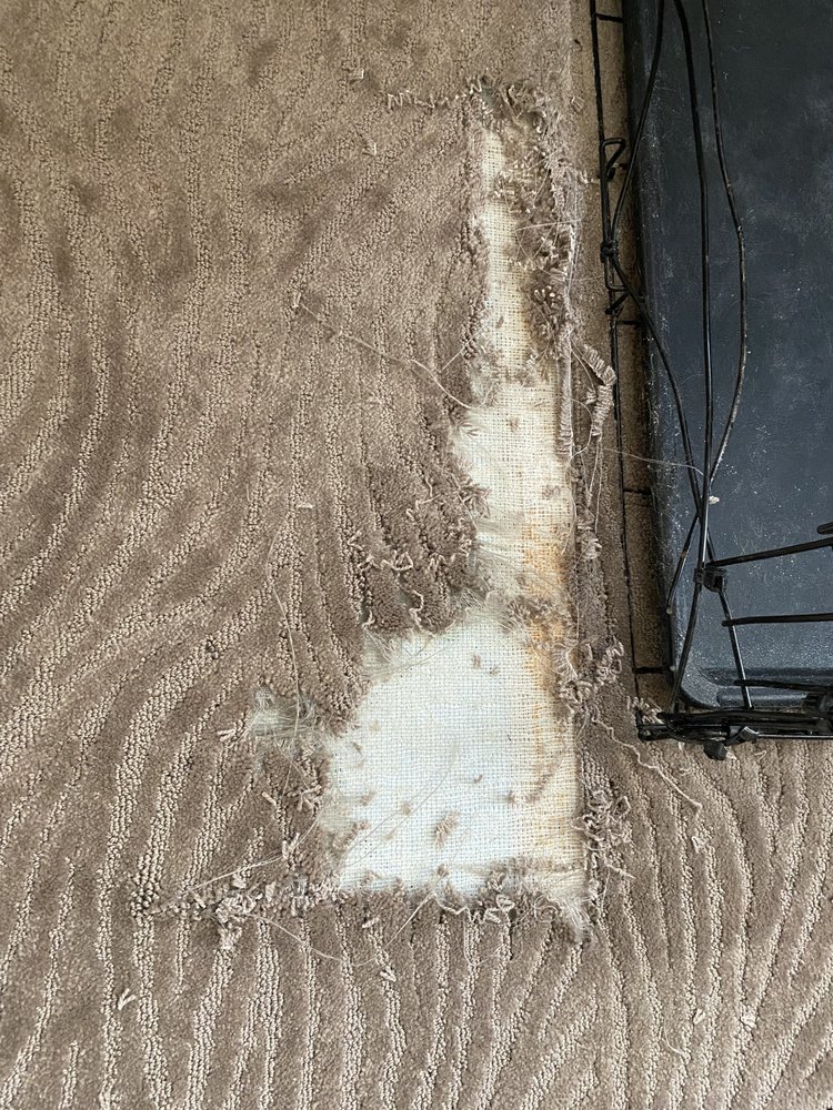 JOHNNY ON THE SPOT Updated August 2024 52 Photos & 22 Reviews