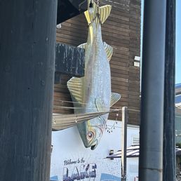 A big fish